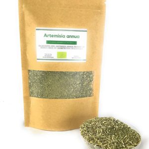 ARTEMISIA ANNUA 40 G